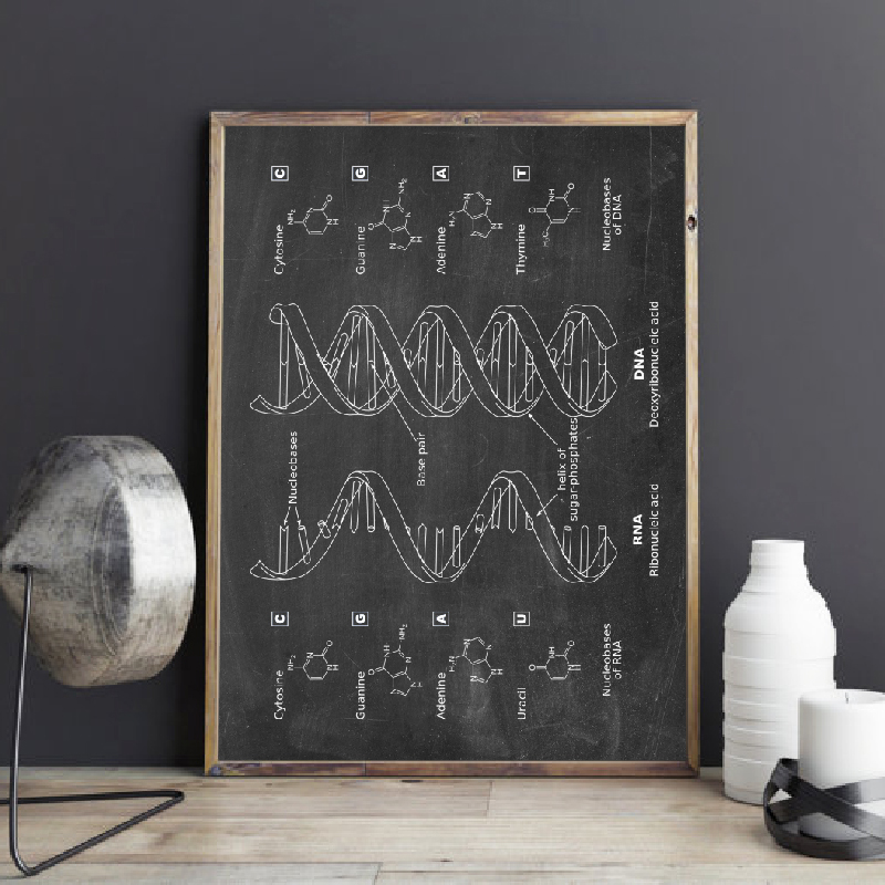 Star Map Poster - DNA Brevetto Wall Art Genetica Poster