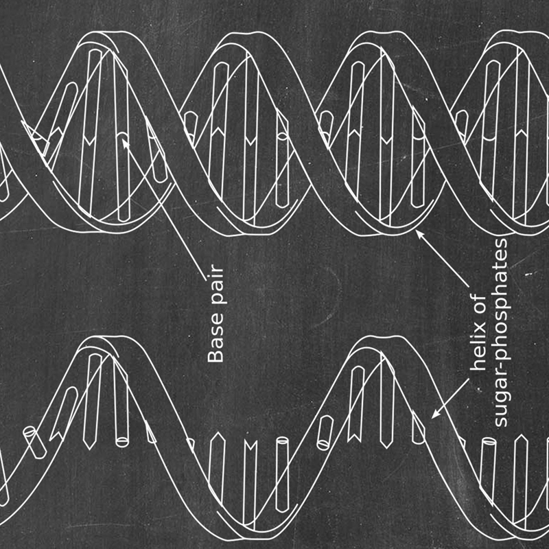 DNA Brevetto Wall Art Genetica - Star Map Poster recensione e prezzo