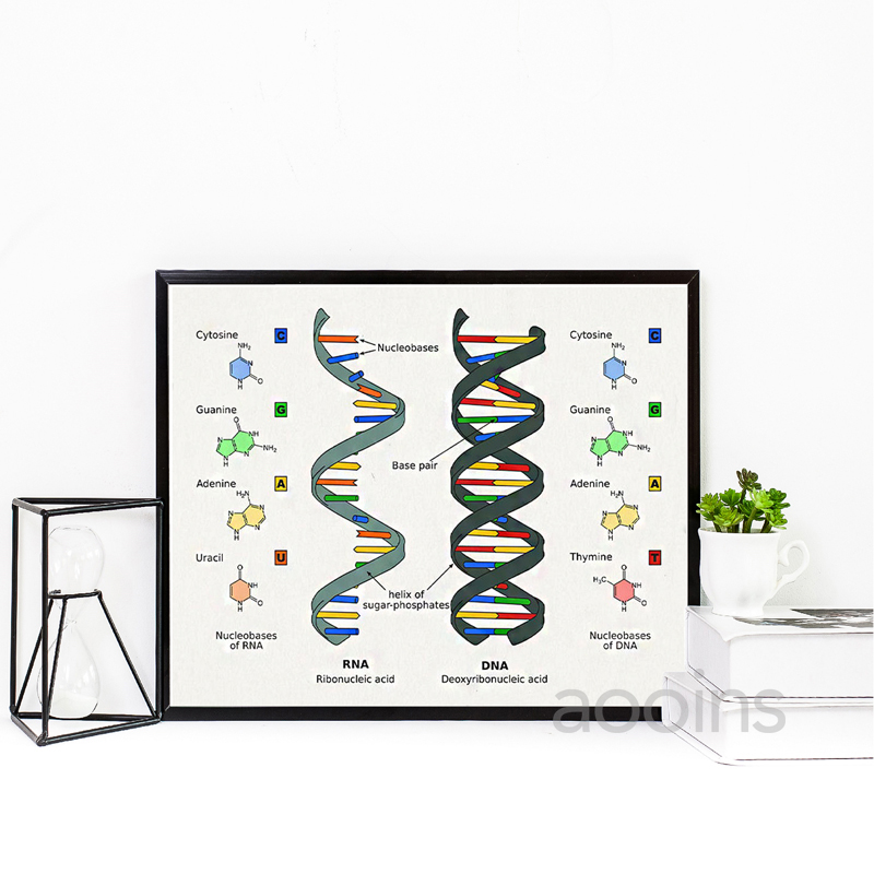 DNA Brevetto Wall Art Genetica - Star Map Poster recensione e prezzo
